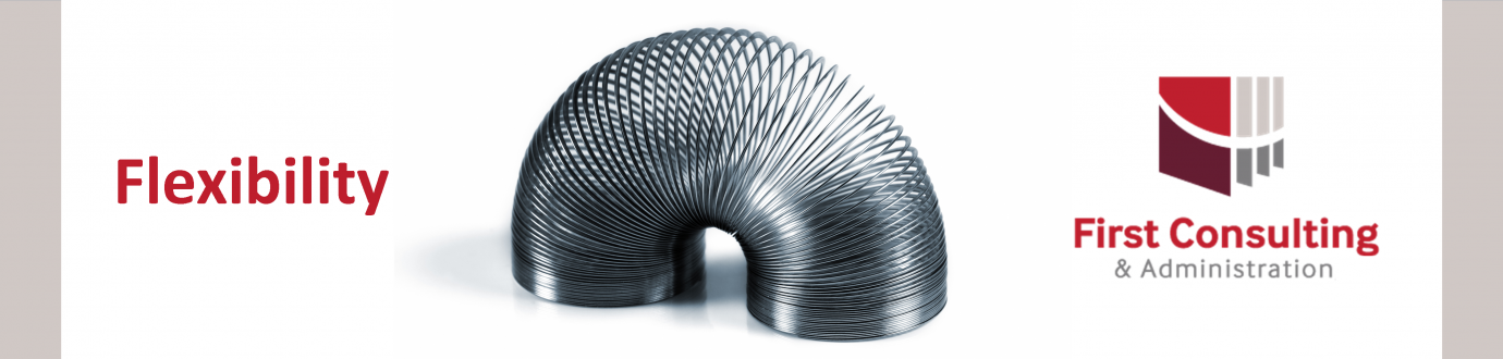4-Flexibility Slinky